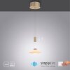 Paul Neuhaus LAUTADA Lámpara Colgante LED Latón, 1 luz