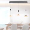 Paul Neuhaus LAUTADA Lámpara Colgante LED Negro, 3 luces