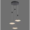 Paul Neuhaus LAUTADA Lámpara Colgante LED Negro, 3 luces