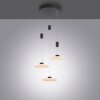 Paul Neuhaus LAUTADA Lámpara Colgante LED Negro, 3 luces