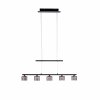Paul Neuhaus HYDRA Lámpara Colgante LED Negro, 5 luces