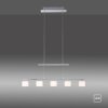 Paul Neuhaus HYDRA Lámpara Colgante LED Acero bruñido, 5 luces