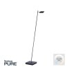 Paul Neuhaus PURE-MIRA Lámpara de Pie LED Negro, 1 luz, Mando a distancia