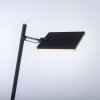 Paul Neuhaus PURE-MIRA Lámpara de Pie LED Negro, 1 luz, Mando a distancia