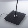 Paul Neuhaus PURE-MIRA Lámpara de Pie LED Negro, 1 luz, Mando a distancia