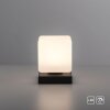 Paul Neuhaus DADOA Lámpara de mesa LED Antracita, 1 luz