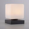 Paul Neuhaus DADOA Lámpara de mesa LED Antracita, 1 luz