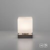 Paul Neuhaus DADOA Lámpara de mesa LED Acero bruñido, 1 luz