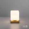 Paul Neuhaus DADOA Lámpara de mesa LED Latón, 1 luz