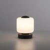 Paul Neuhaus BOTA Lámpara de mesa LED Antracita, 1 luz
