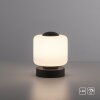 Paul Neuhaus BOTA Lámpara de mesa LED Antracita, 1 luz
