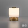 Paul Neuhaus BOTA Lámpara de mesa LED Latón, 1 luz