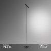 Paul Neuhaus PURE-TUTUA Lámpara de Pie LED Negro, 1 luz