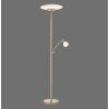 Paul Neuhaus TROJA Lámpara de Pie LED Latón, 1 luz