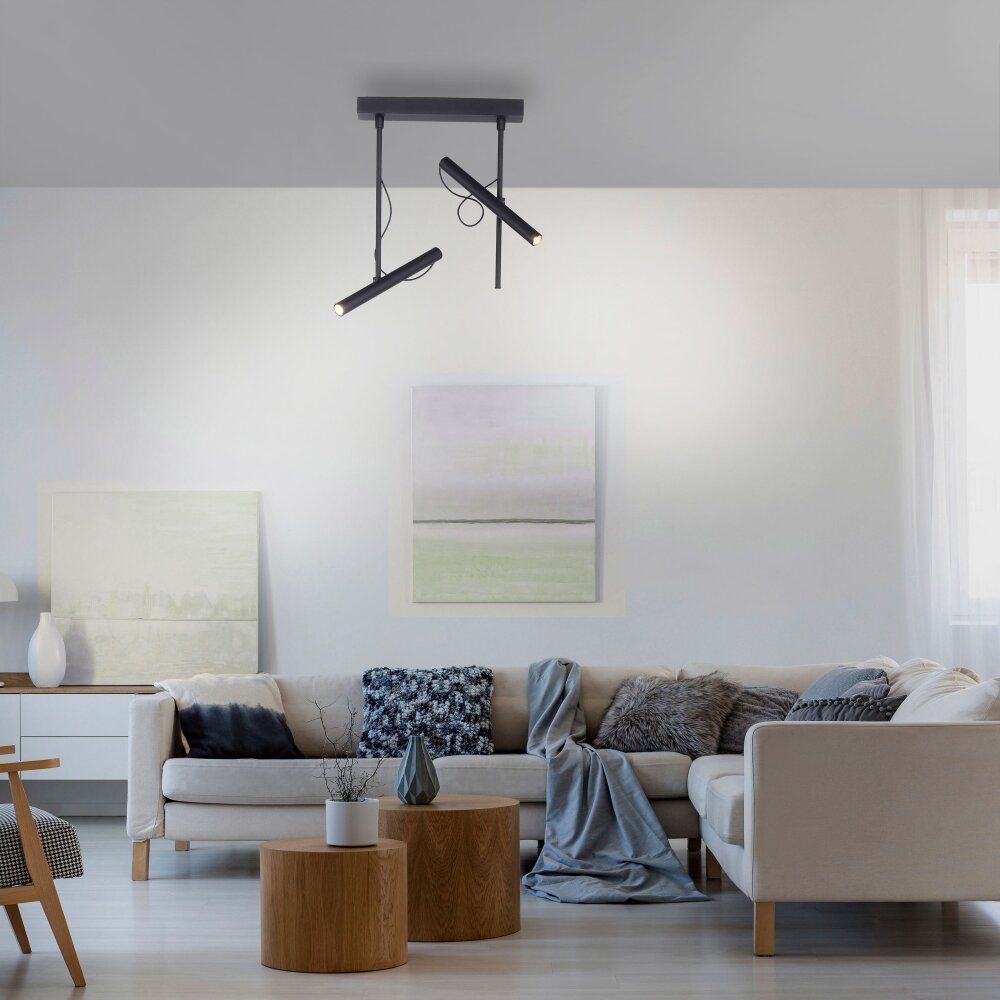 Paul Neuhaus PURE-TUTUA Lámpara de Techo LED Negro, 2 luces main product photo