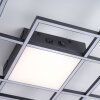 Paul Neuhaus Q-ASMIN Lámpara de Techo LED Negro, 1 luz, Mando a distancia