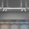 Paul Neuhaus PURE-LINES Lámpara de Techo LED Aluminio, 1 luz, Mando a distancia