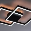 Paul Neuhaus Q-MARKO Lámpara de Techo LED Negro, 1 luz, Mando a distancia, Cambia de color