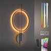 Paul Neuhaus Q-ARKOA Lámpara de Techo LED Acero bruñido, 1 luz, Mando a distancia, Cambia de color