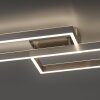 Paul Neuhaus PAAN Lámpara de Techo LED Acero bruñido, 1 luz, Mando a distancia