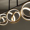 Paul Neuhaus LOOP Lámpara de Techo LED Latón, Negro, 3 luces, Mando a distancia