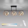 Paul Neuhaus LOOP Lámpara de Techo LED Latón, Negro, 3 luces, Mando a distancia
