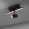 Paul Neuhaus BARIK Aplique LED Negro, 1 luz