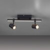 Paul Neuhaus BARIK Lámpara de Techo LED Negro, 2 luces