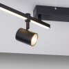 Paul Neuhaus BARIK Lámpara de Techo LED Negro, 4 luces