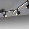 Paul Neuhaus BARIK Lámpara de Techo LED Negro, 6 luces