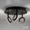 Paul Neuhaus SILEDA Lámpara de Techo Antracita, 3 luces