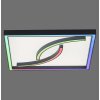 Paul Neuhaus SERPENT Lámpara de Techo LED Negro, 1 luz, Mando a distancia, Cambia de color