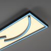 Paul Neuhaus SERPENT Lámpara de Techo LED Negro, 1 luz, Mando a distancia, Cambia de color