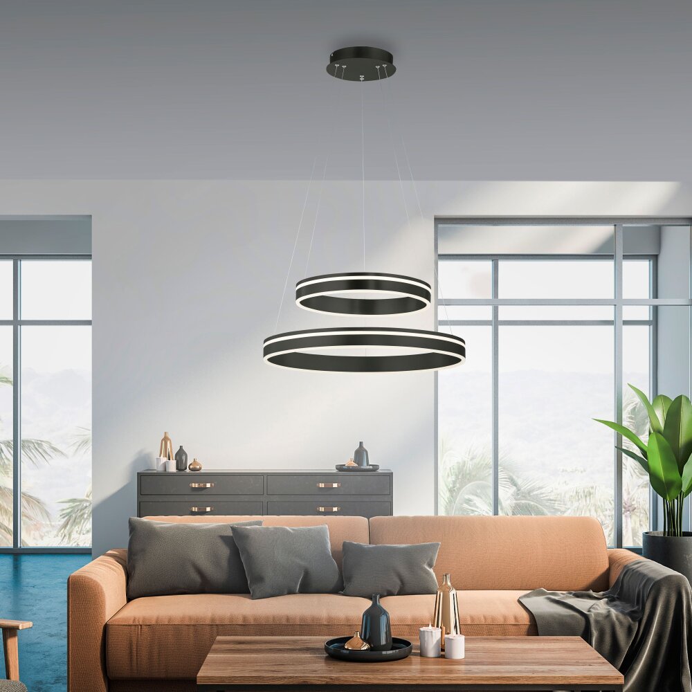 Paul Neuhaus Q-VITO Lámpara Colgante LED Antracita, 1 luz, Mando a distancia main product photo