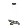 Paul Neuhaus Q-VITO Lámpara Colgante LED Antracita, 1 luz, Mando a distancia