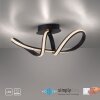 Paul Neuhaus BRILLA Lámpara de Techo LED Negro, 1 luz