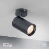 Paul Neuhaus PURE-TECHNIK Lámpara de Techo LED Negro, 1 luz