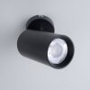 Paul Neuhaus PURE-TECHNIK Lámpara de Techo LED Negro, 1 luz