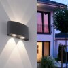 Paul Neuhaus CARLO Aplique LED Antracita, 4 luces