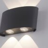 Paul Neuhaus CARLO Aplique LED Antracita, 4 luces