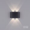 Paul Neuhaus CARLO Aplique LED Antracita, 4 luces