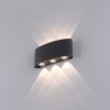 Paul Neuhaus CARLO Aplique LED Antracita, 6 luces