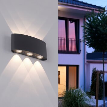 Paul Neuhaus CARLO Aplique LED Antracita, 6 luces