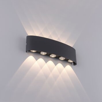 Paul Neuhaus CARLO Aplique LED Antracita, 10 luces