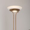 Leuchten-Direkt ZAHARA Lámpara de Pie LED Latón antiguo, 2 luces