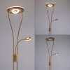 Leuchten-Direkt HELIA Lámpara de Pie LED Latón, 3 luces
