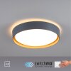 Leuchten-Direkt EMILIA Lámpara de Techo LED Gris, Crudo, 1 luz