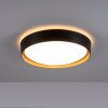 Leuchten-Direkt EMILIA Lámpara de Techo LED Crudo, Negro, 1 luz