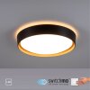 Leuchten-Direkt EMILIA Lámpara de Techo LED Crudo, Negro, 1 luz