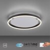 Leuchten-Direkt RITUS Lámpara de Techo LED Antracita, 1 luz